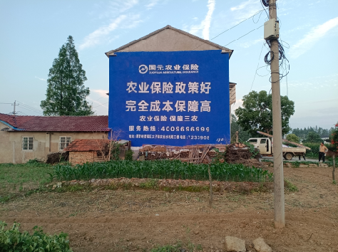 合川墙体广告为何受追捧？